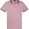 Polo SCHOTT PSHENRY Pastel Pink -Levis Soldes Magasin schott 22773 1