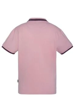 Polo SCHOTT PSHENRY Pastel Pink -Levis Soldes Magasin schott 22773 2